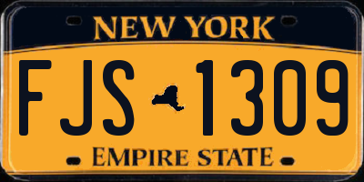 NY license plate FJS1309