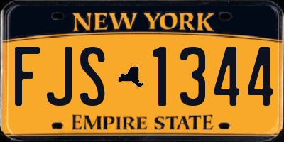 NY license plate FJS1344