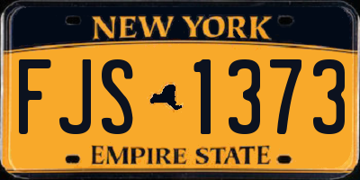 NY license plate FJS1373