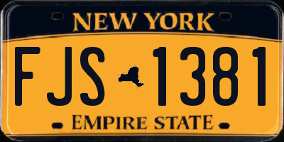 NY license plate FJS1381
