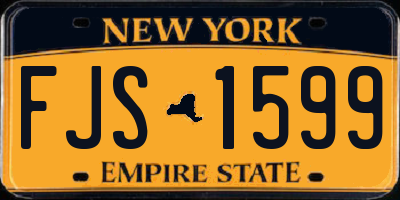 NY license plate FJS1599