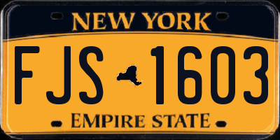 NY license plate FJS1603