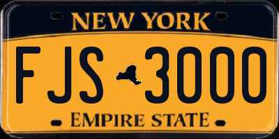 NY license plate FJS3000