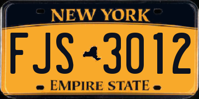 NY license plate FJS3012