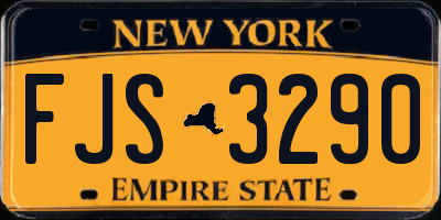 NY license plate FJS3290