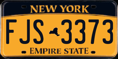 NY license plate FJS3373