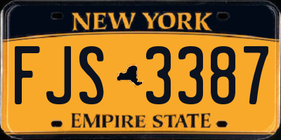 NY license plate FJS3387