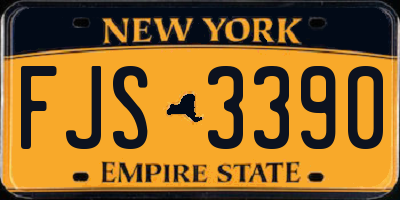 NY license plate FJS3390