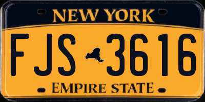NY license plate FJS3616