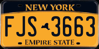 NY license plate FJS3663