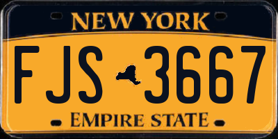 NY license plate FJS3667