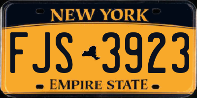 NY license plate FJS3923