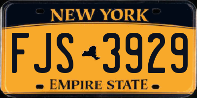 NY license plate FJS3929