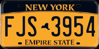 NY license plate FJS3954