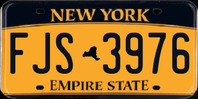 NY license plate FJS3976