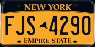 NY license plate FJS4290