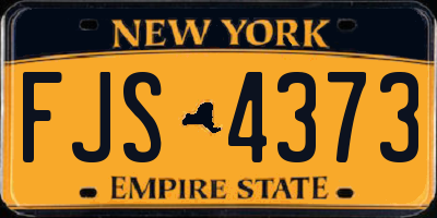NY license plate FJS4373
