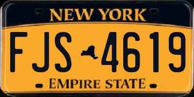 NY license plate FJS4619