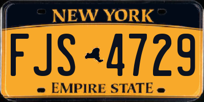 NY license plate FJS4729