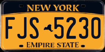 NY license plate FJS5230