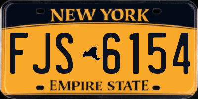 NY license plate FJS6154