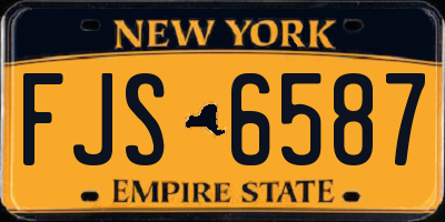 NY license plate FJS6587