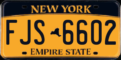 NY license plate FJS6602