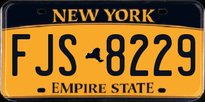 NY license plate FJS8229