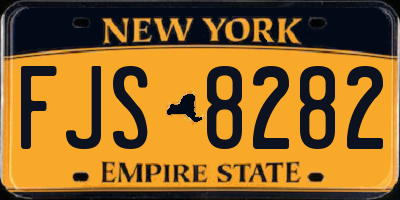 NY license plate FJS8282