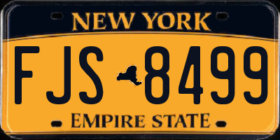 NY license plate FJS8499