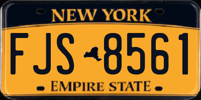 NY license plate FJS8561