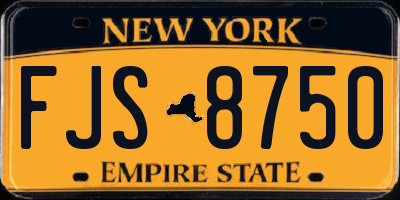 NY license plate FJS8750