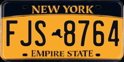 NY license plate FJS8764