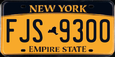 NY license plate FJS9300