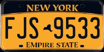 NY license plate FJS9533