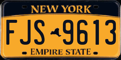 NY license plate FJS9613