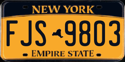 NY license plate FJS9803