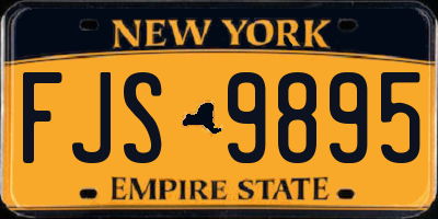NY license plate FJS9895