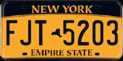 NY license plate FJT5203