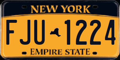 NY license plate FJU1224