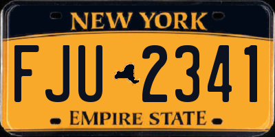 NY license plate FJU2341