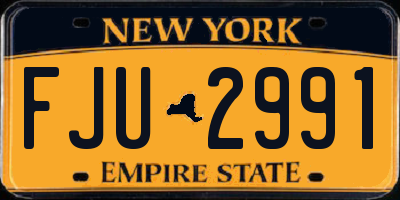 NY license plate FJU2991