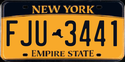 NY license plate FJU3441