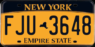 NY license plate FJU3648