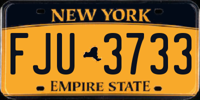 NY license plate FJU3733