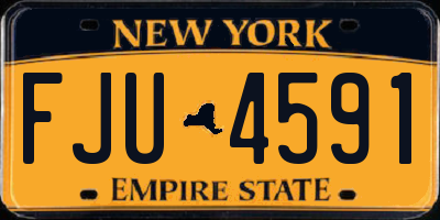 NY license plate FJU4591