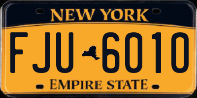 NY license plate FJU6010