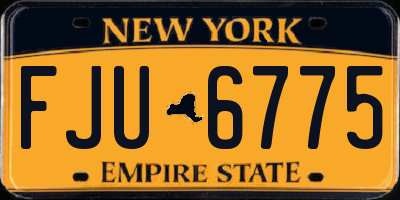NY license plate FJU6775