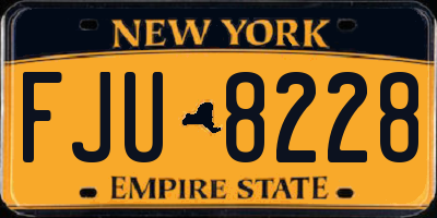 NY license plate FJU8228