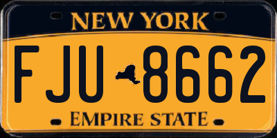 NY license plate FJU8662